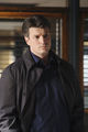 Filename=Castle-218-007.jpg
Filesize=841KiB
Dimensions=2000x3000
Date added=Jan 15, 2012 Castle-218-007.jpg